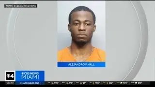 Arrest made in deadly 79th Street Causeway crash