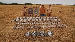 EPIC duck & goose Hunting with @MinnDakOutdoors (70bird morning) Alberta 22
