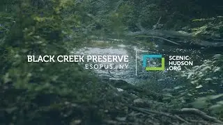 A visit to Black Creek Preserve in Esopus, NY