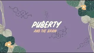 The Women's Brain Health Project: Episode 2 - Puberty and the Brain