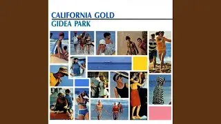 Beach Boy Gold (Original Mix)