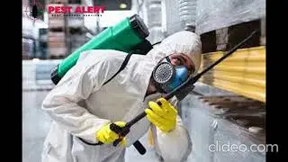 Cockroaches Control in Melbourne | Melbourne Cockroaches Control | Cockroaches Control Melbourne
