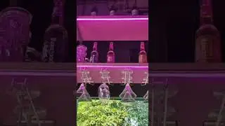 The Pink Door restaurant #pink #decoration #beautiful #feelingbeautiful  #likeforlikes  #awsome