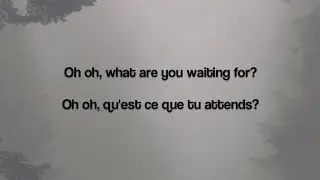 Animal - Chase Holfelder (cover Neon Trees) Lyrics English/Français