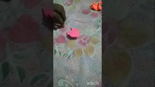 Easy origami frog making || 9M views#crafts #trending#home decor