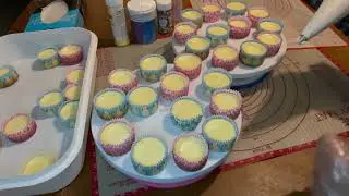 Mini cheese cake #cherry #sprinkle #fypシ 