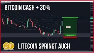 ❗️6500$ Bitcoin, passt morgen auf! 🤨BCH +30% Litecoin +11% OCN am Ziel
