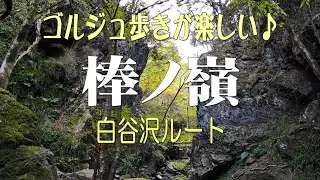 白谷沢から棒ノ嶺2025＠埼玉県飯能市