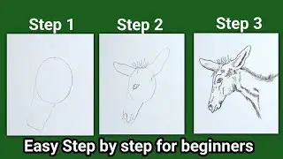 Easy drawing techiques of a donkey for beginners ||