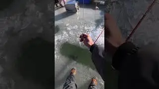 Lucky fish hooked up in fishing float setting time.#winterspecial #winterfishing