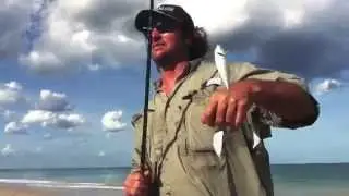 Casting Live Bait  Beach Bait Basics - The Mullet Run