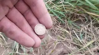Экспресс-коп.