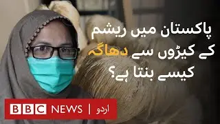 How is Silk made in Pakistan? | Silk Industry & its challenges - BBC URDU