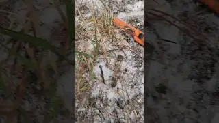 Frozen Relic #metaldetecting  #metaldetector #minelab #manticore #minelabmanticore #history #relics