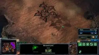 Starcraft 2 Brood Lord Gameplay