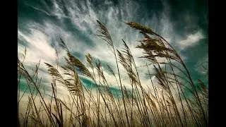 Johnny Mathis - Touch The Wind (Eres tu)