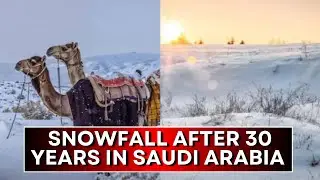 Snow In The Dessert Kingdom: Saudi Arabia's Desert Turns White With Rare Winter Snowfall