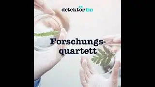 Internationales Seerecht: Wem geh&ouml;ren die Ozeane?
