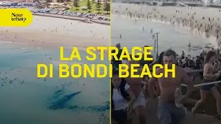 La strage di Bondi Beach