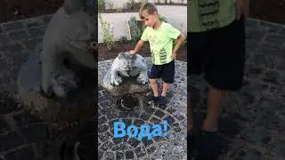 Лягушка в парке Кемери! Frog in Kemeri park!