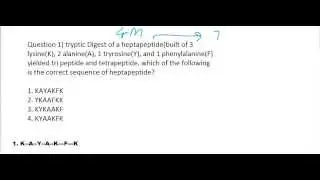 Trypsin digestion question 1.