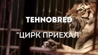 Цирк приехал.Новый трек (TEHNOBRED)