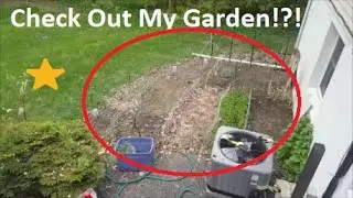 Garden Vlog  (001) :    CHECK OUT ALL MY COOL PLANTS