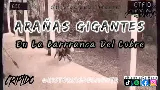 Ara&ntilde;as Gigantes En La Barranca Del Cobre