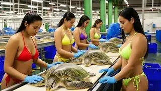 Inside the Turtle Leather Factory &mdash; How Giant Turtle Skin Turns Into Luxury Bags (Full Process)