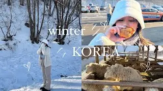 korea diaries ☃️: winter in korea, phoenix snow park, sheep farm, myeongdong kyoja, olive young 🩵