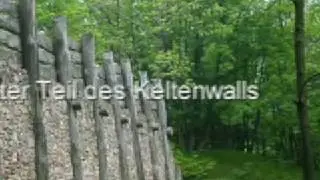 Dannenfels
