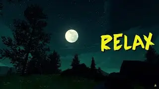 At night, in the mountains, in the forest, under the moon, the sounds of nature / Firewatch RELAX