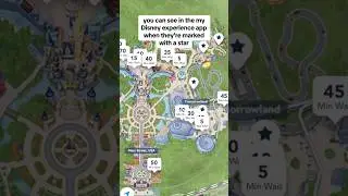 Must Know Skip The Wait Hack For Disney | Disney Ride Tips #disneyworld #disneyland