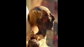 Ramses II Mummy