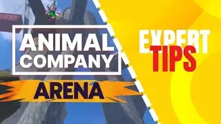 Expert arena mode tips (Animal company VR)