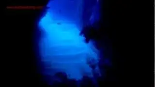 Diving Bali HD - Bat Cave, Nusa Penida