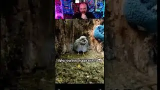 WHO THE HELL MADE THIS #blindreact #funny #tiktokreaction