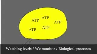 Electrochemical Probes Music Video