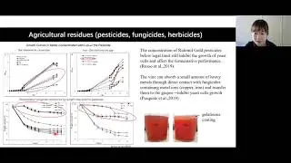 VEN290 Spring 2020: Factors leading to sluggish and stuck fermentation