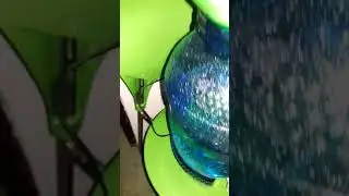 Biovortex