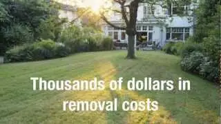 Emerald Ash Borer and Tuliptree Scale Treatment in Bloomington, IN