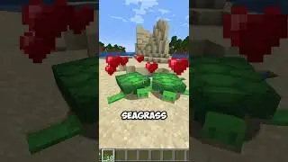 Чем питаются черепахи в Minecraft?
