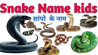 🐍 Saanp (Snake) for Kids | Animal Name, Sound & Facts | Kids Learning Video