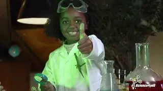 My First Science Kit  4+|  Science4you