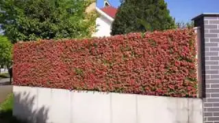 SUNWING artificial hedges screening to fit any fence or railings