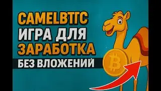 CamelBTC — Реальный заработок БЕЗ вложений! Полный обзор игры