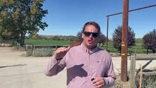 Real Estate Value vs. Price