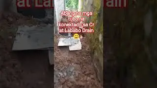Tubero