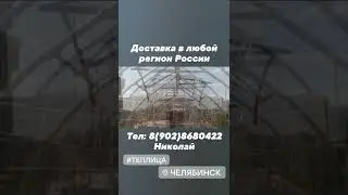 Теплица Готика из оцинкованной профильно трубы 30х30х1,5 #теплицаоцинкованная #теплицамосква