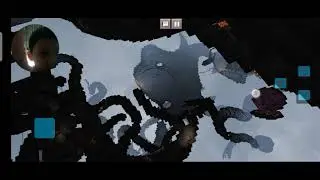 I'm playing minecraft I'm Spectator mode did you seen this Picture Octopus? 